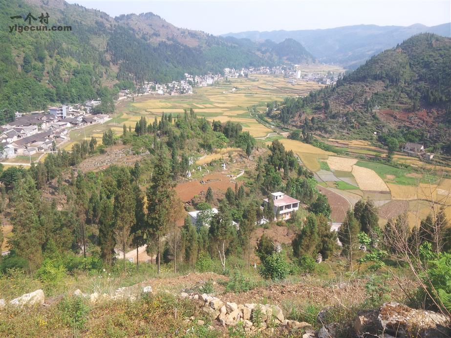 羅家畈村(湖北省黃岡市羅田縣九資河鎮下轄村)