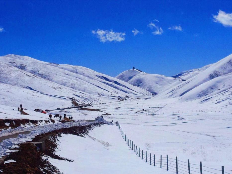 雲南會澤大海草山國際滑雪度假區