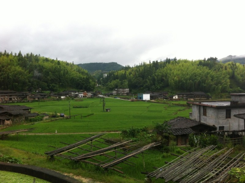 溪洋村(福建省泉州市德化縣桂陽鄉溪洋村)