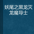 妖尾之黑龍滅龍魔導士