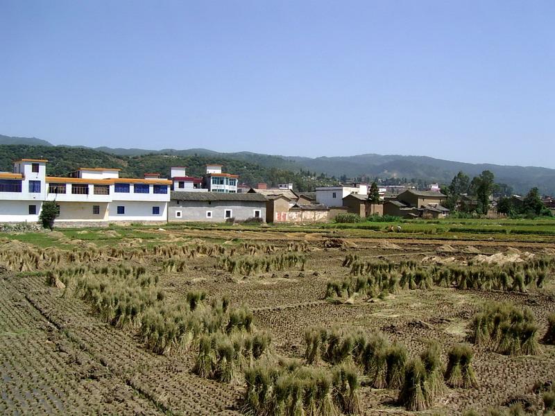 上山腳營村