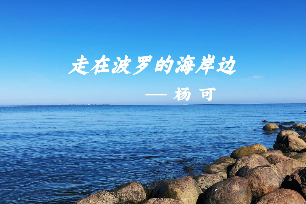 走在波羅的海岸邊