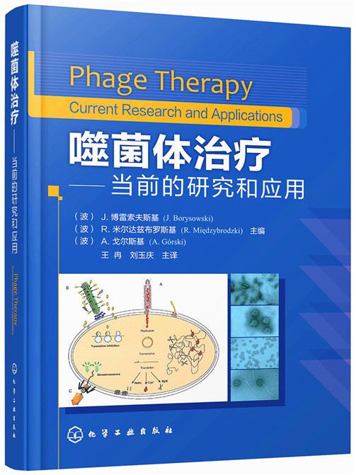 噬菌體治療——當前的研究和套用