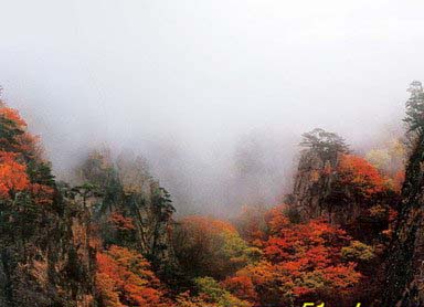 旅順口國家森林公園