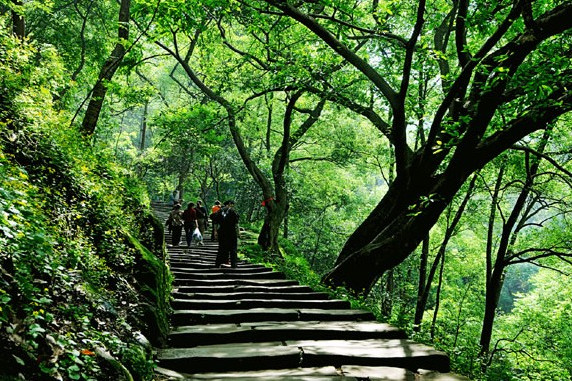 龍脊古道