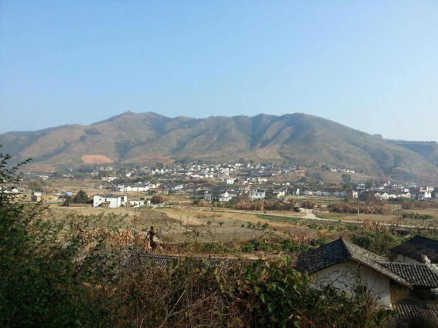 高思