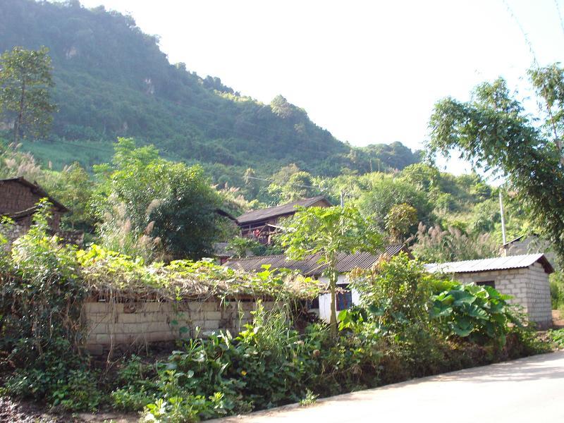 大硝塘自然村(雲南省耿馬縣勐永鎮大硝塘自然村)