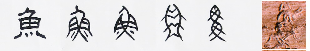 自左向右：隸書-小篆-金文-甲骨文-骨刻文