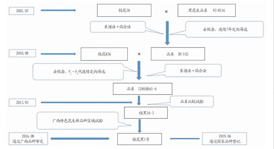 桂花黑1號