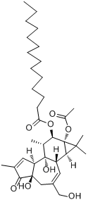 佛波醇12-十四酸酯13-乙酸酯