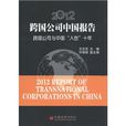 2012跨國公司中國報告