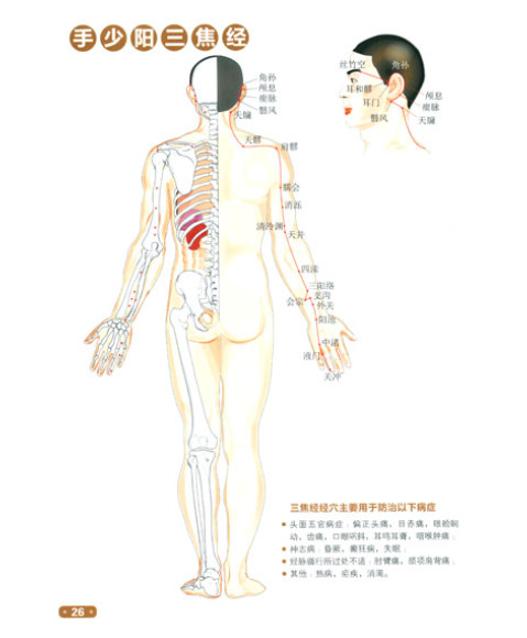 經絡穴位家用標準圖冊