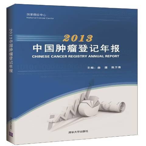 中國登記年報：2013