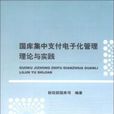 國庫集中支付電子化管理理論與實踐