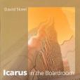 Icarus in the Boardroom