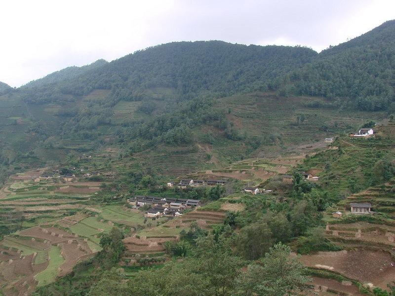 上茶花村