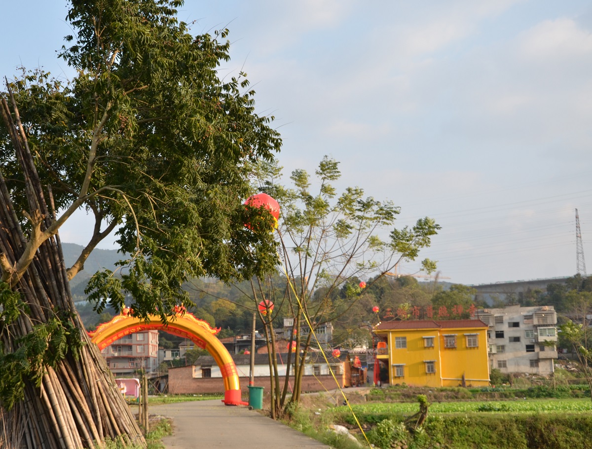 三明普照禪寺居士林