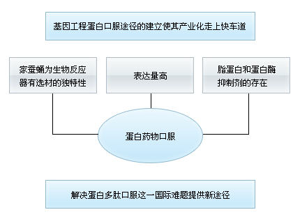 家蠶生物反應器