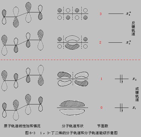 共軛二烯烴