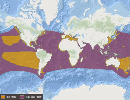 噬人鯊分布圖