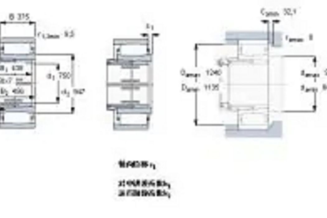 SKF C31-800KMB+AOH31-800軸承