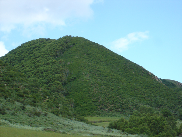 斗金山