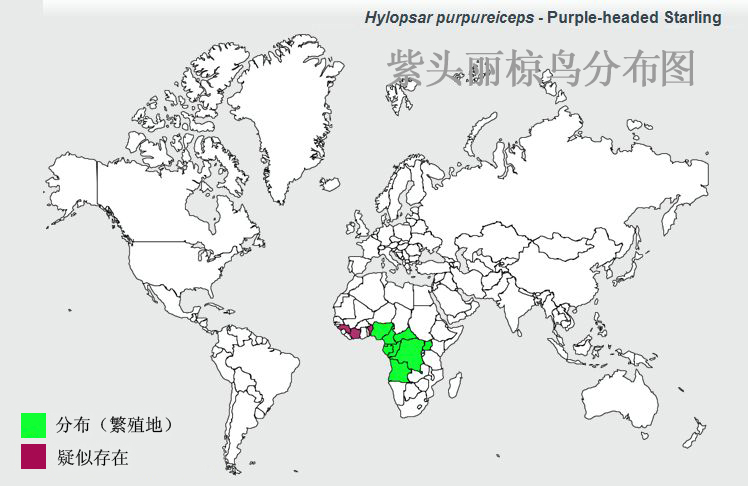 紫頭麗椋鳥分布圖