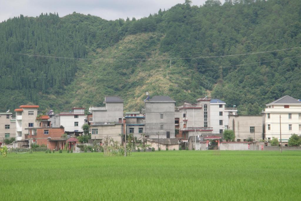 上街自然村(雲南昭通鎮雄縣芒部鎮松林村委會上街自然村)