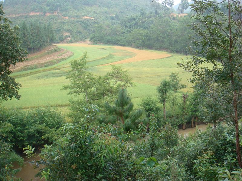 班達基自然村