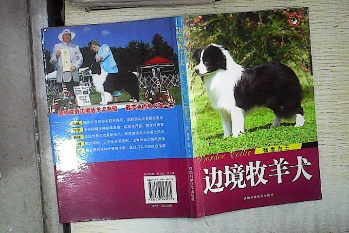 邊境牧羊犬(2008年陝西科學技術出版社出版的圖書)