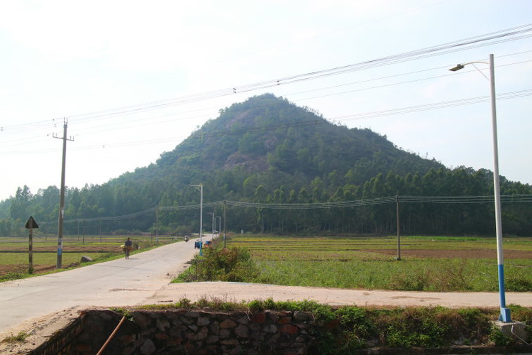 金塘鎮(茂南區金塘鎮)