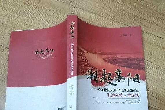 潮起襄陽：20世紀70年代湖北襄樊引進科技人才紀實