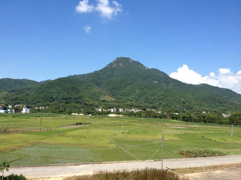 圳口村(浙江省台州市仙居縣白塔鎮下轄村)