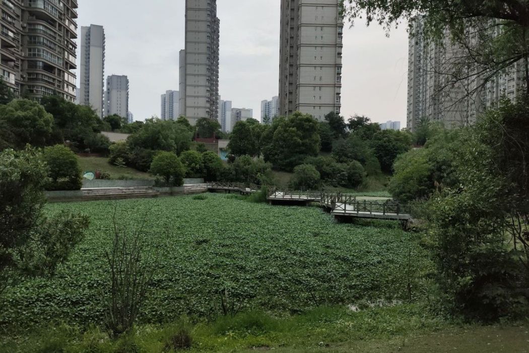 鳳凰城公園