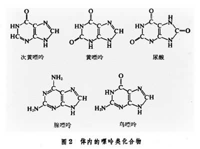 化合物