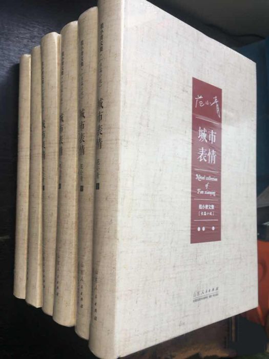 城市表情(范小青所著的長篇小說)