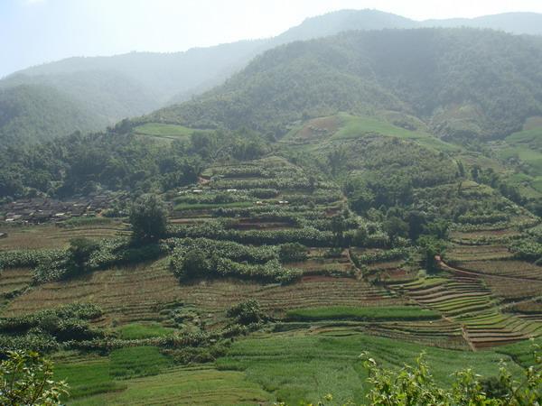 臨滄市臨翔區平村彝族傣族鄉平村村耕地