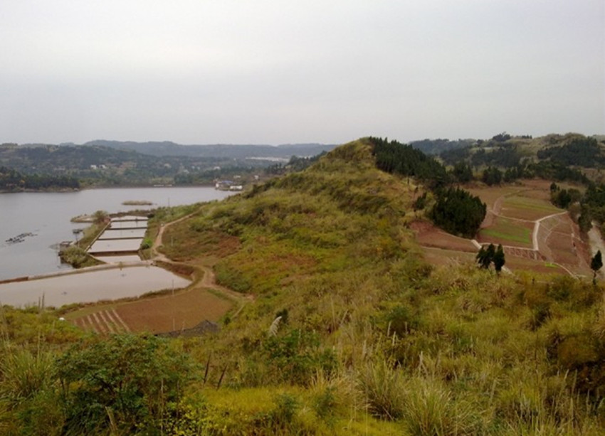 建華鄉(四川省資陽市安岳縣下轄鄉)