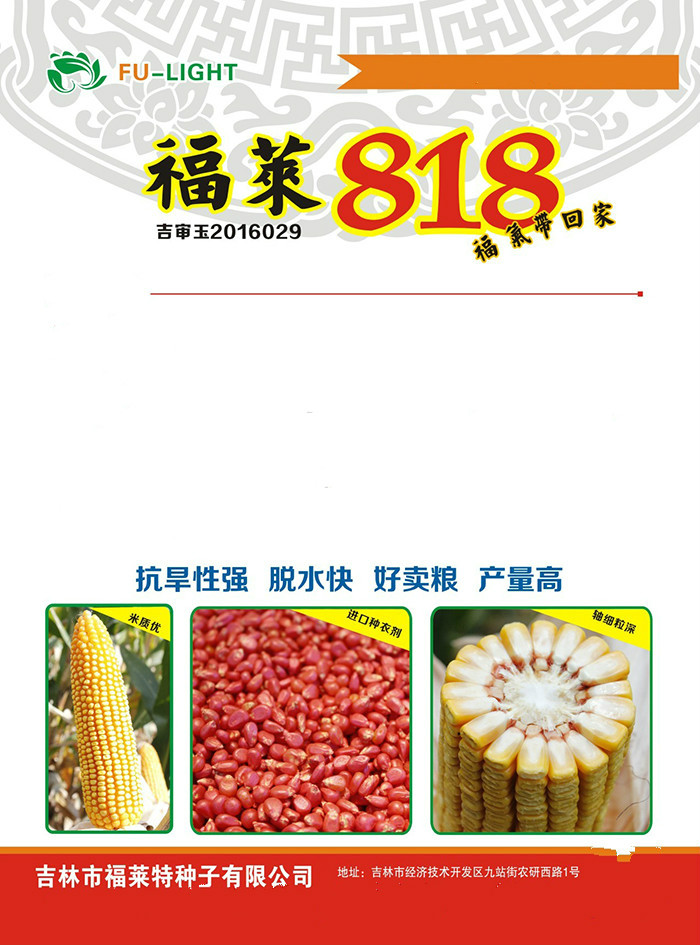 福萊818