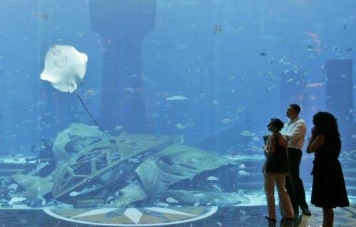 酒店內的水族館