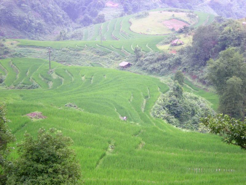 村中田園