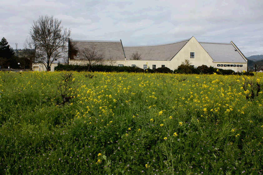 黃花地村