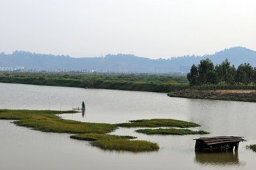 小虎島