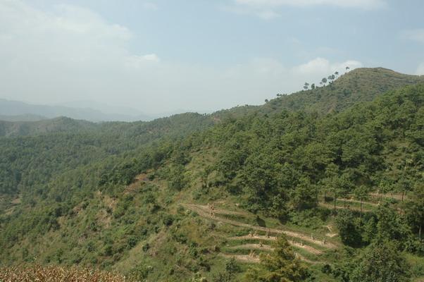 金家梁子村(雲南宣威市龍潭鎮下轄村)