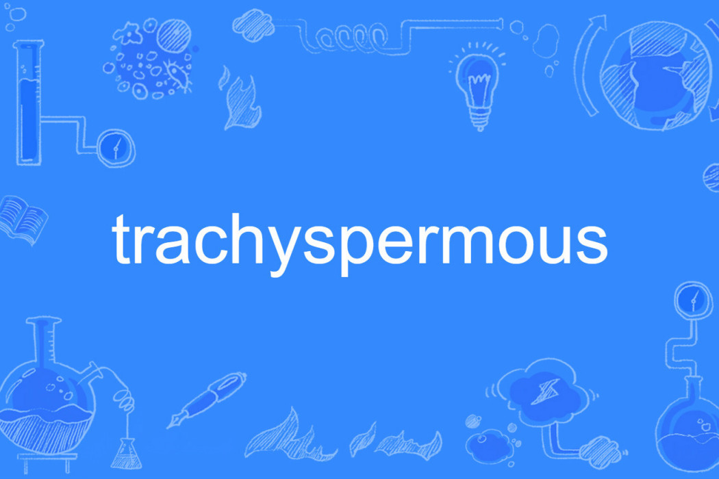 trachyspermous