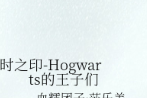 時之印-Hogwarts的王子們