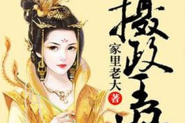 攝政王妃(家裡老大所著小說)