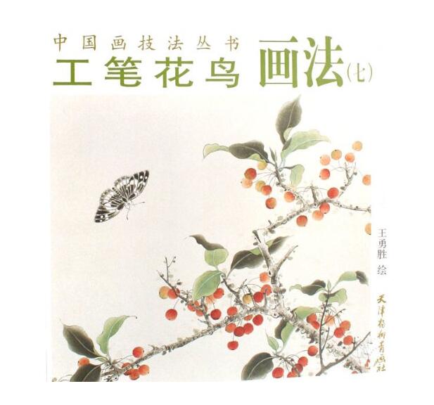 工筆花鳥畫法7