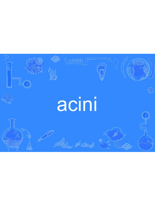 acini