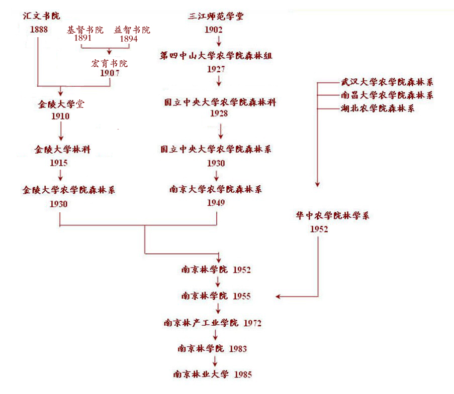 南京林業大學歷史沿革